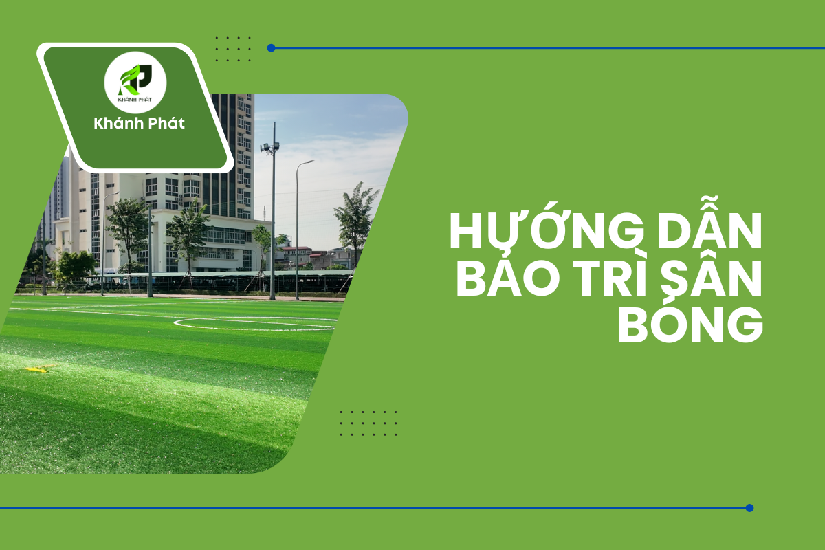 Hướng dẫn bảo trì sân bóng cỏ nhân tạo để sử dụng lâu dài