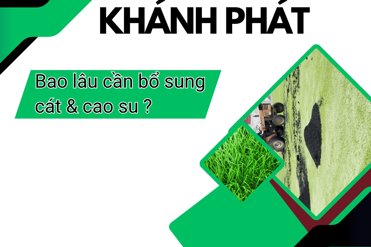 Bao lâu thì cần bổ sung cát và hạt cao su cho sân cỏ nhân tạo?
