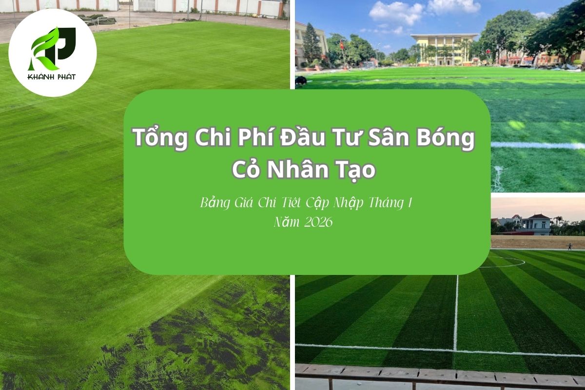 Chi phí xây dựng sân bóng cỏ nhân tạo 2026: Bảng giá chi tiết từng hạng mục
