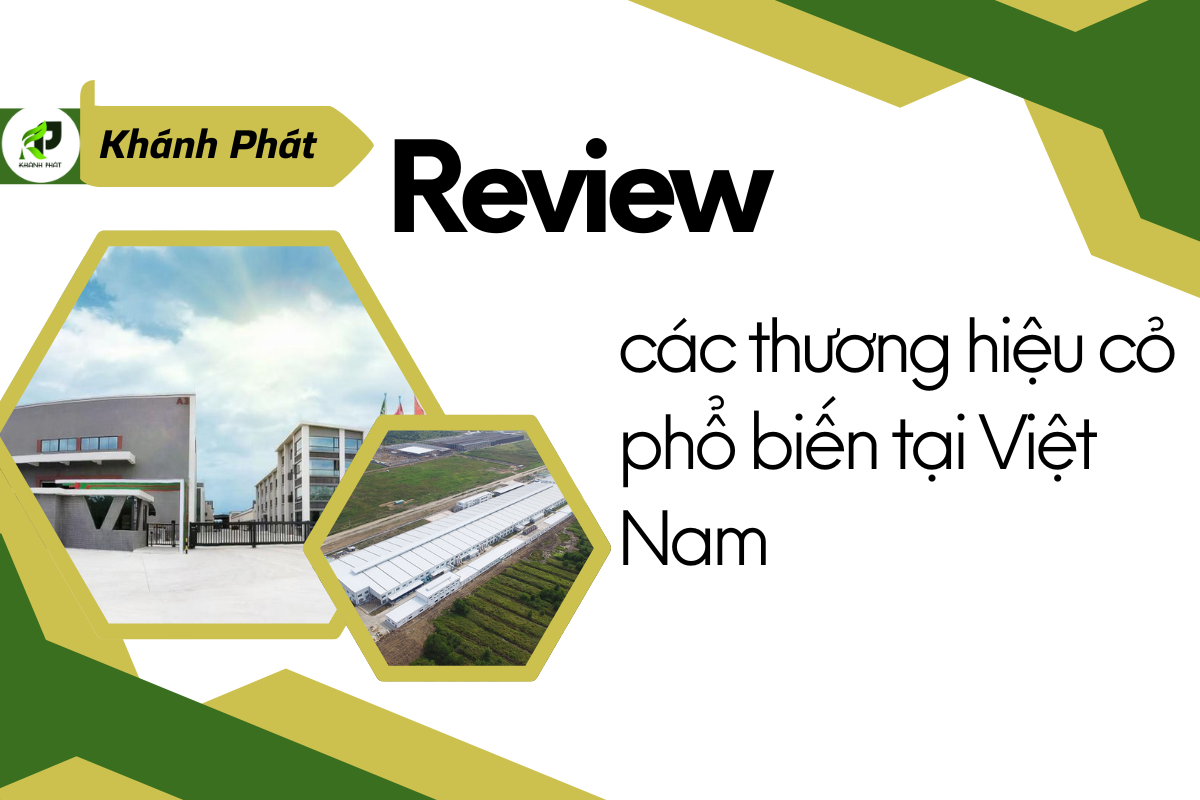 Review các thương hiệu cỏ nhân tạo phổ biến tại Việt Nam