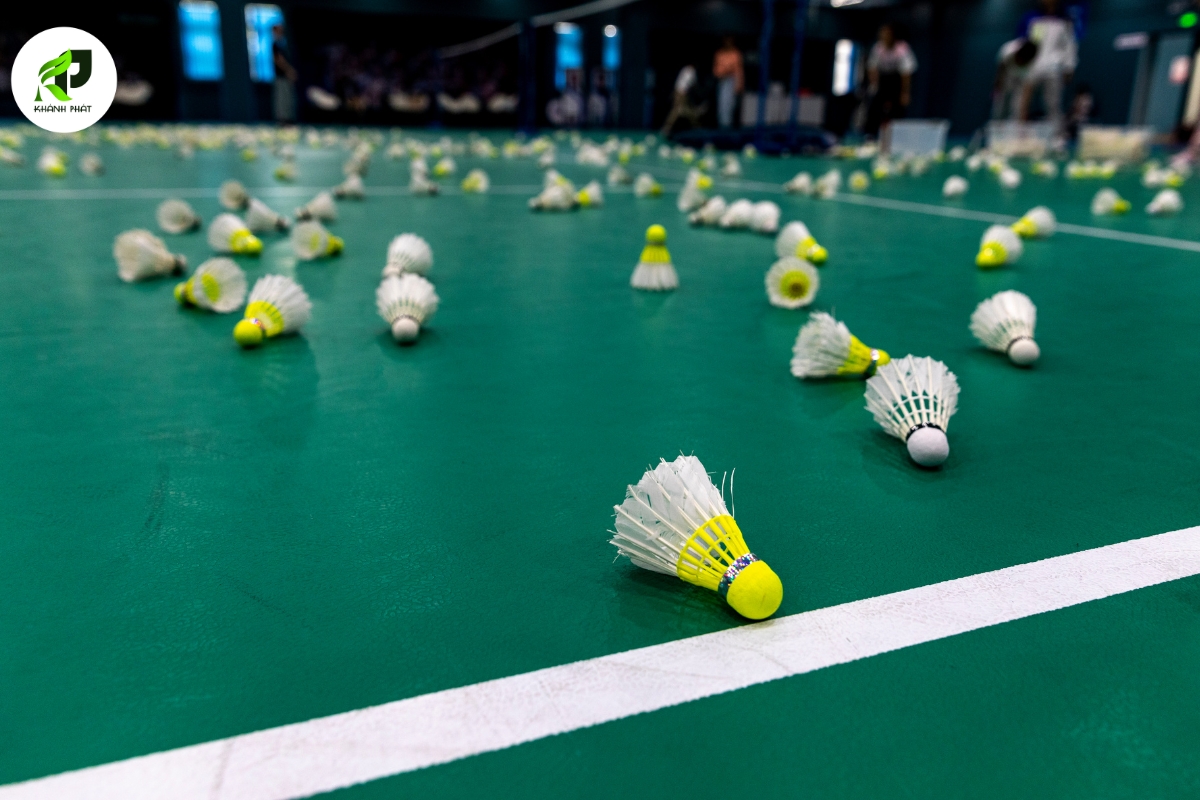 san pickleeball 5 1