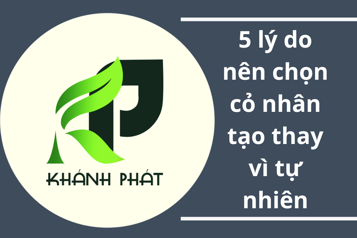 5 Lý Do Nên Chọn Cỏ Nhân Tạo Thay Vì Cỏ Tự Nhiên