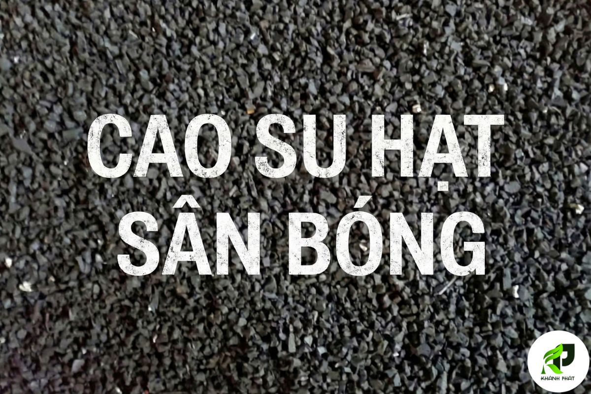 Hạt Cao Su SBR: Phân Loại, Ứng Dụng & Hướng Dẫn Chọn Cho Từng Loại Sân 1 Thiet ke chua co ten 12 1 1