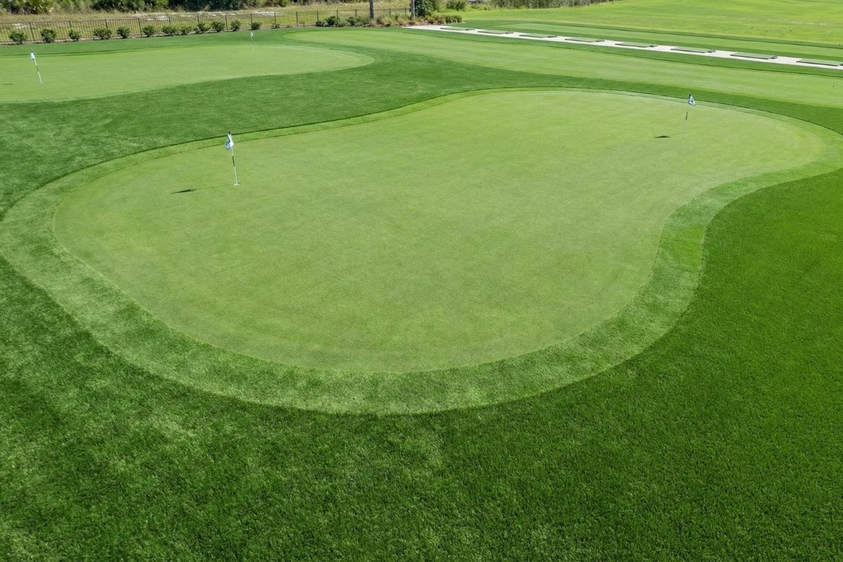 Cỏ Nhân Tạo Sân Golf - Giải Pháp Đa Năng Cho Sân Golf, Sân Tập và Khu Giải Trí 5 Thiet ke chua co ten 3 4