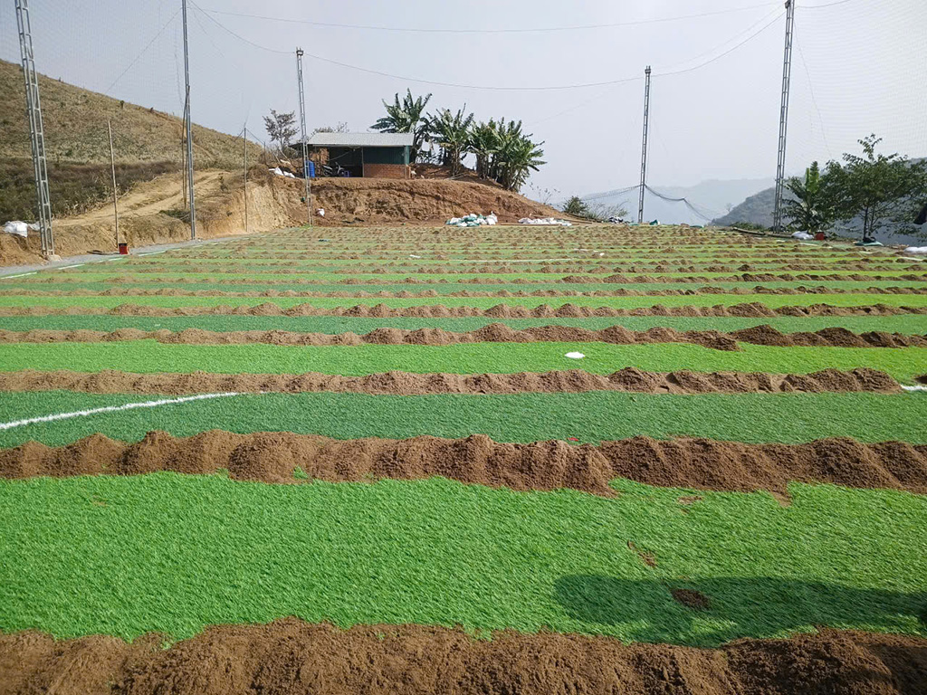 Sân bóng 7 người Sông Mã, Sơn La — Ảnh 3