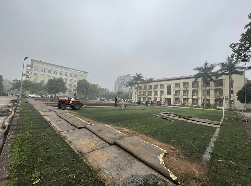 Thay cỏ mới sân 7 người khu vực sân bay Nội Bài — Ảnh 3