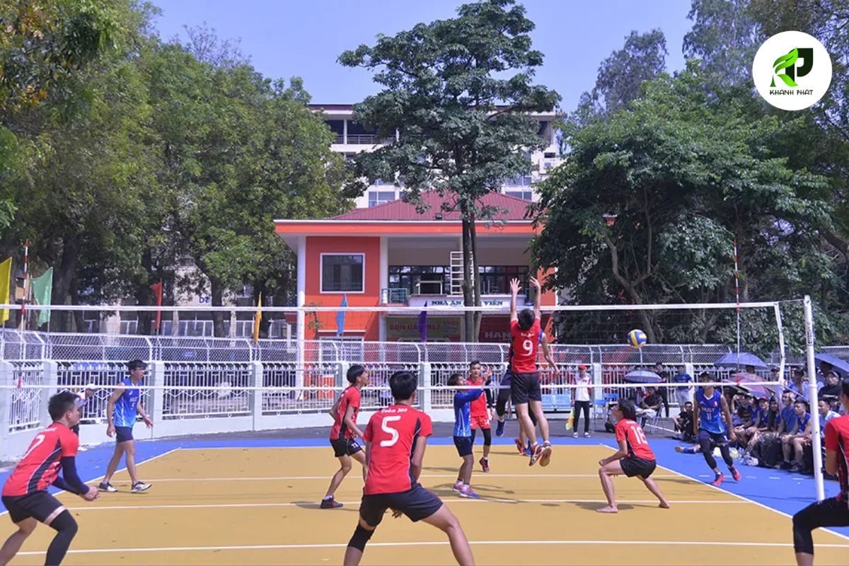 Sân Bóng Chuyền Trường Đại Học