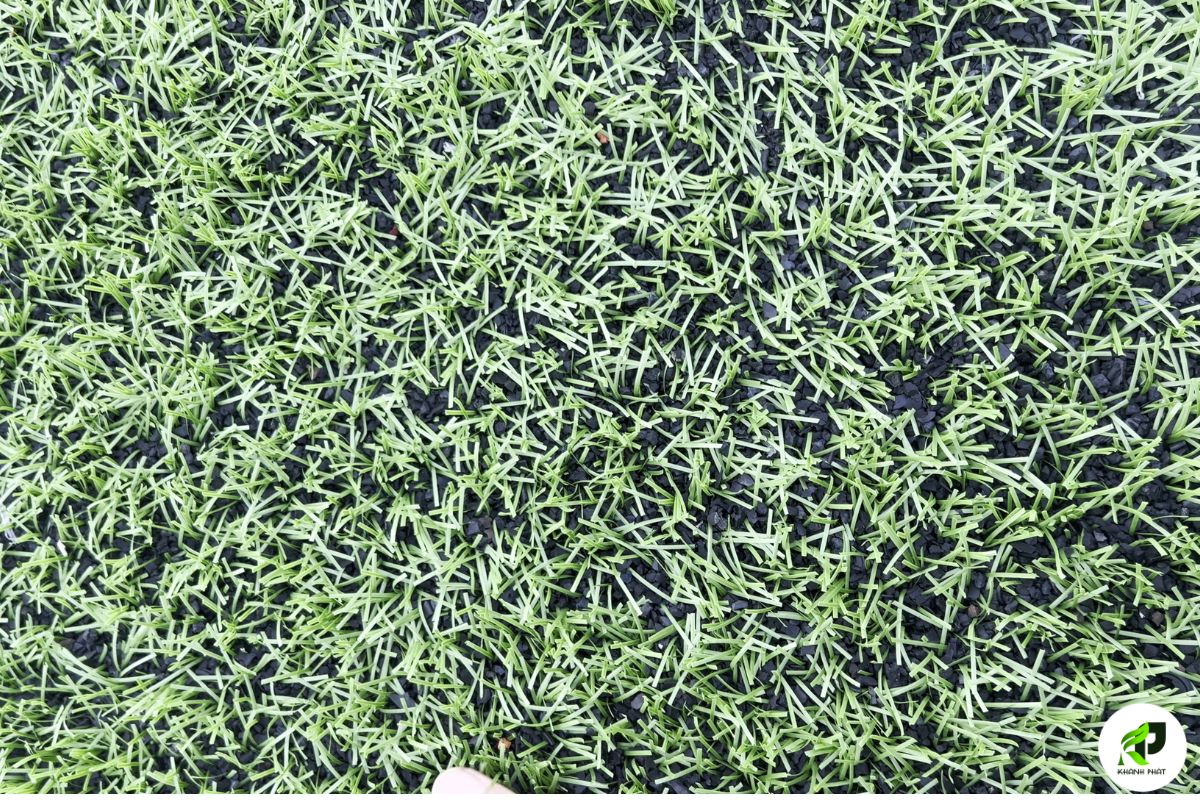 Cấu tạo lớp infill sân cỏ nhân tạo gồm cát đen sàng sạch và hạt cao su SBR