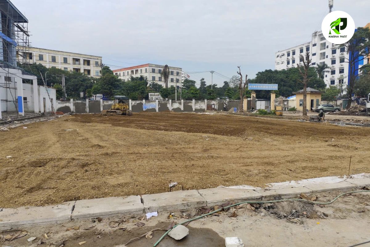 hinh anh bo via truong hoc tai ha noi khanh phat 1