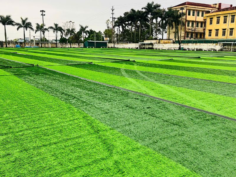Cải tạo nâng cập cụm 3 sân bóng 7 tại Vũ Thư, Thái Bình — Ảnh 2